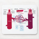Search for artery electronics Arteries