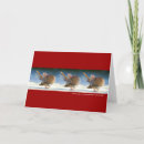 Search for turtle dove cards Animals