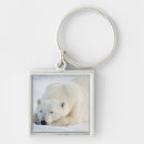 Search for big bears keychains Animal
