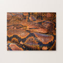 Recherche de snake puzzles Python