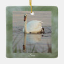 Search for swan ornaments Birds