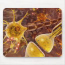 Recherche de neurones tapis souris Biologie