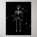 Search for x ray stuff posters Skeletons