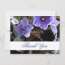Search for african violet African violets