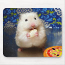 Recherche de hamster tapis souris Rongeur