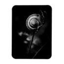Search for mollusks magnets Snail