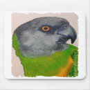 Search for senegal mousepads Parrot
