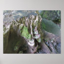 Search for tree stump art Fungus