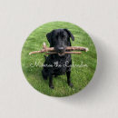 Search for dog photo buttons Adorable