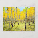 Recherche de couleurs automnales cartes postales Danita délimitont