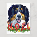 Recherche de bernese mountain dog christmas cards Noël