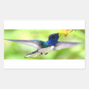 Search for hummingbird stickers Blue