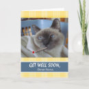 Search for cat basket cards Feline