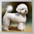 Recherche de frise bichon posters Animal