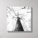 Search for black and white tree canvas prints Trees