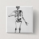 Search for skeleton buttons Anatomy