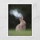 Search for frohe postcards Cute