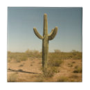 Search for arid tiles Cactus