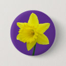 Search for daffodil buttons Wales