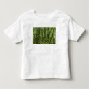Search for rainforest tshirts Tropical
