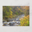 Search for vermont autumn postcards Forest