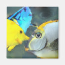 Search for fish magnets Unique