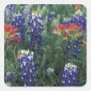 Search for texas country stickers Usa