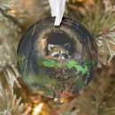 Search for raccoon ornaments Woodland