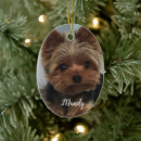 Recherche de yorkie pet memorials Terrier