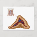 Recherche de néphrologie cartes postales Physiologie