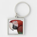Search for around the world keychains Nature