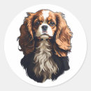 Search for cavalier king charles stickers Pet