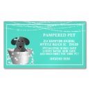 Search for dog services magnets Business