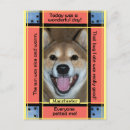 Search for funny clothing postcards Animal