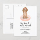 Recherche de de caniche cartes postales Nous avons déménagé