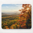 Search for appalachia electronics Forest
