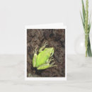 Search for frog drawing postcards Green