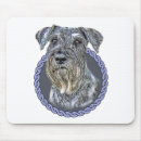 Recherche de schnauzer standard Animal familier