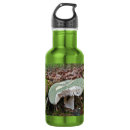 Search for mushroom water bottles Woods