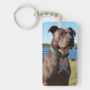 Search for a dog nose keychains Pitbull