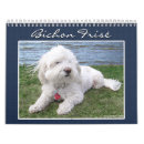 Recherche de bichon frisé Amoureux des chiens