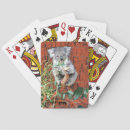 Search for cute koalas playing cards Wildlife