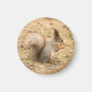 Recherche de écrous magnets Photographie
