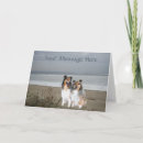 Search for sheltie cards Collie