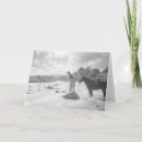 Search for fly fishing cards River