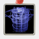 Search for human body part ornaments Angle