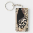 Search for raccoon keychains Baby