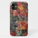 Search for denali national park iphone cases Winter