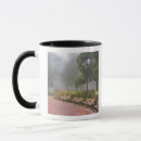 Recherche de savannah tasses Joanne wells