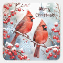 Search for cardinal bird stickers Snowflakes